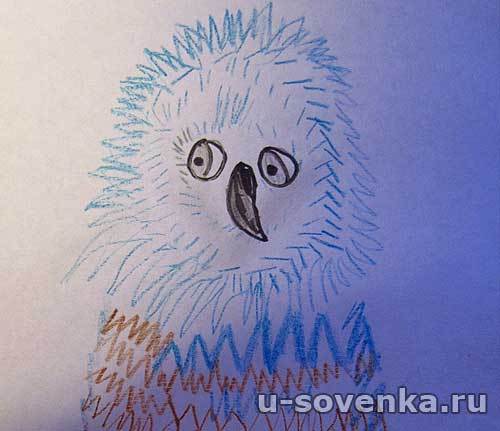 Совенок - рисунок Совенок - рисунок